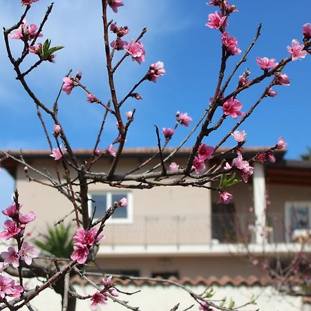 브리아티코 Residenza Anna Calabria B&B 외부 사진