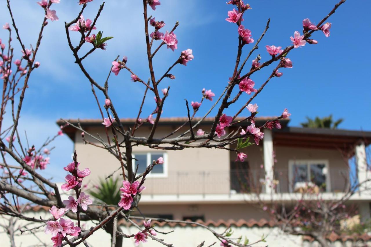 브리아티코 Residenza Anna Calabria B&B 외부 사진